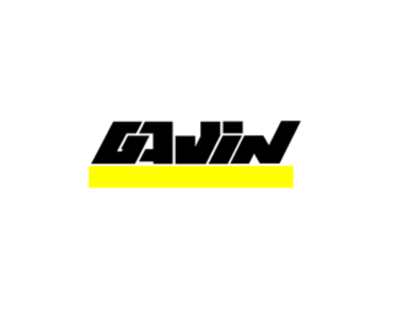 Gavin